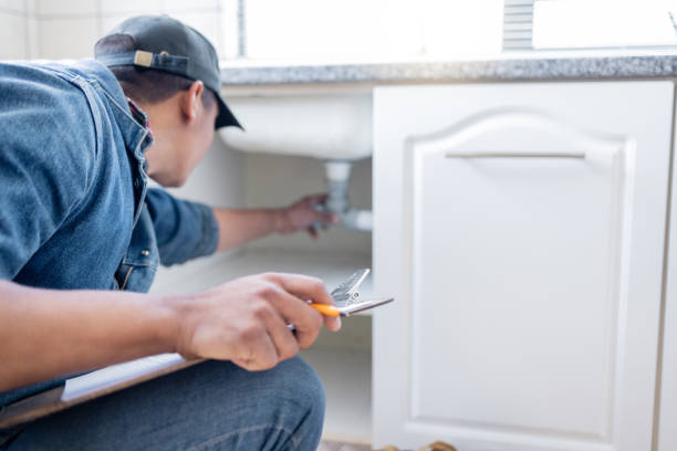 Best Plumbing Services Near Me  in Brandon, SD